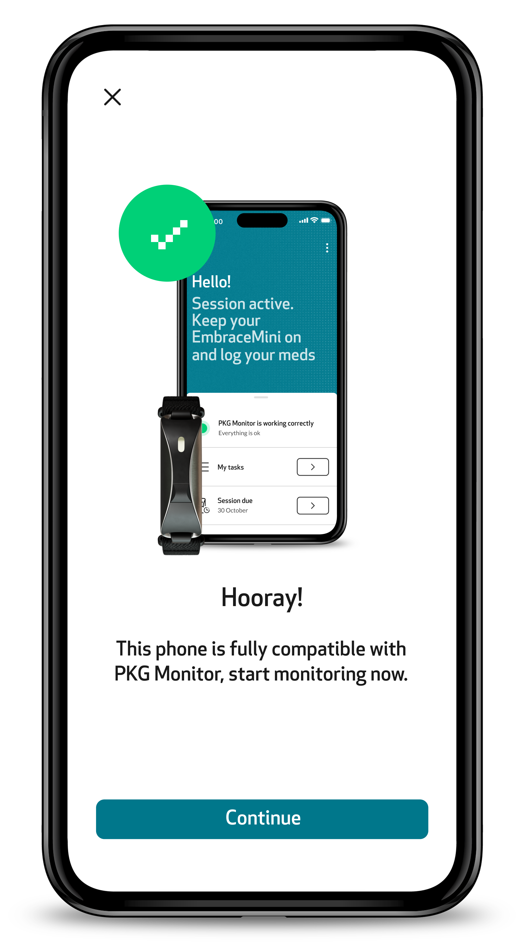 Confirmation screen saying the phone is fully compatible, with the Continue button
